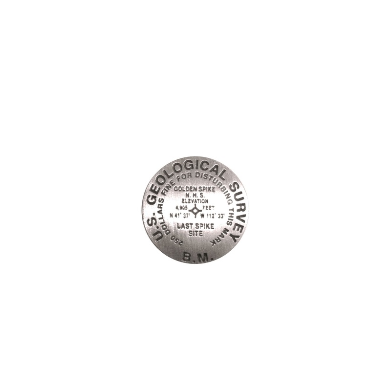 Golden Spike NHS Pin