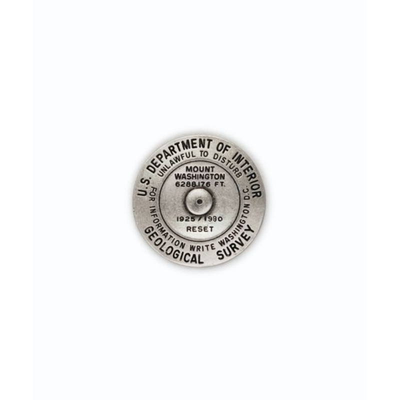 Washington Pin