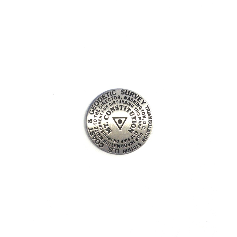 Constitution Pin