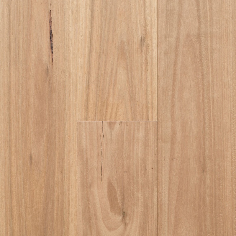 Blackbutt T&G Flooring Select 130 x 19 (lineal metre)