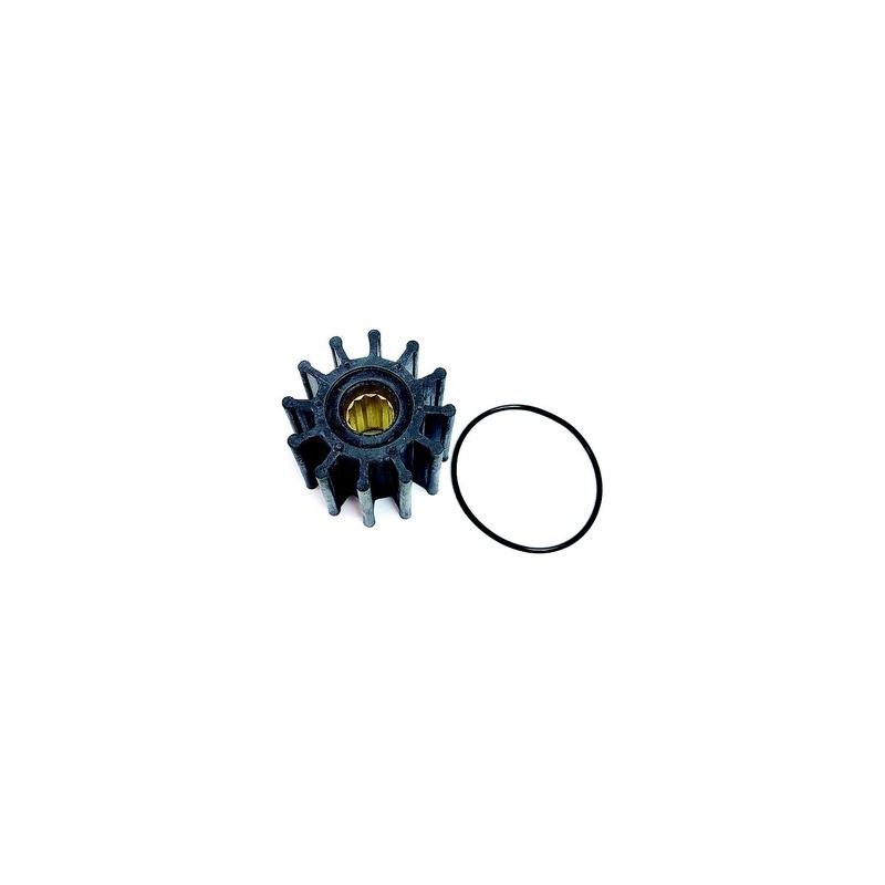WATER PUMP, IK 21700445