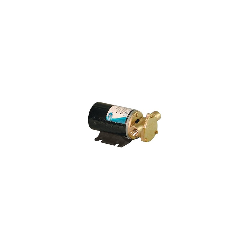 DC Vane Puppy Pump