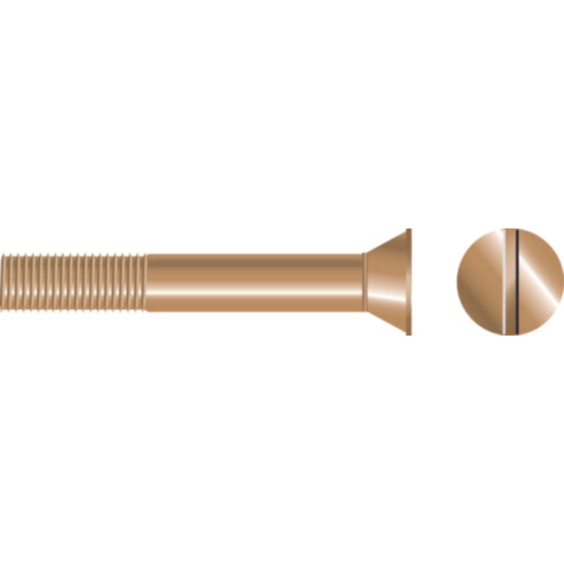 Slotted Strut Bolt – Flat Head