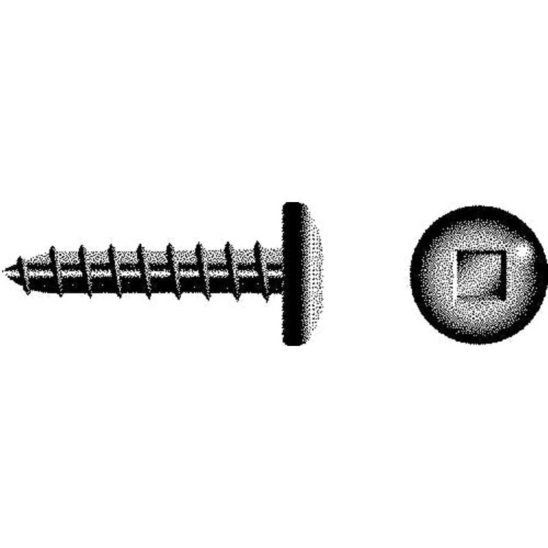 Square Tapping Screw – Pan Head, #10 x 2-1/2
