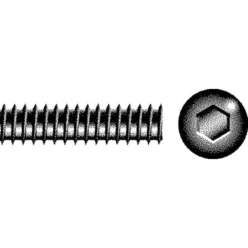 Socket Set Screw 10-32 x 1/4