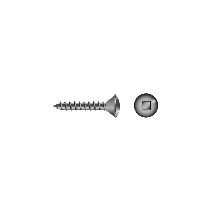 Square Tapping Screw – Oval Head #6 x 1/2