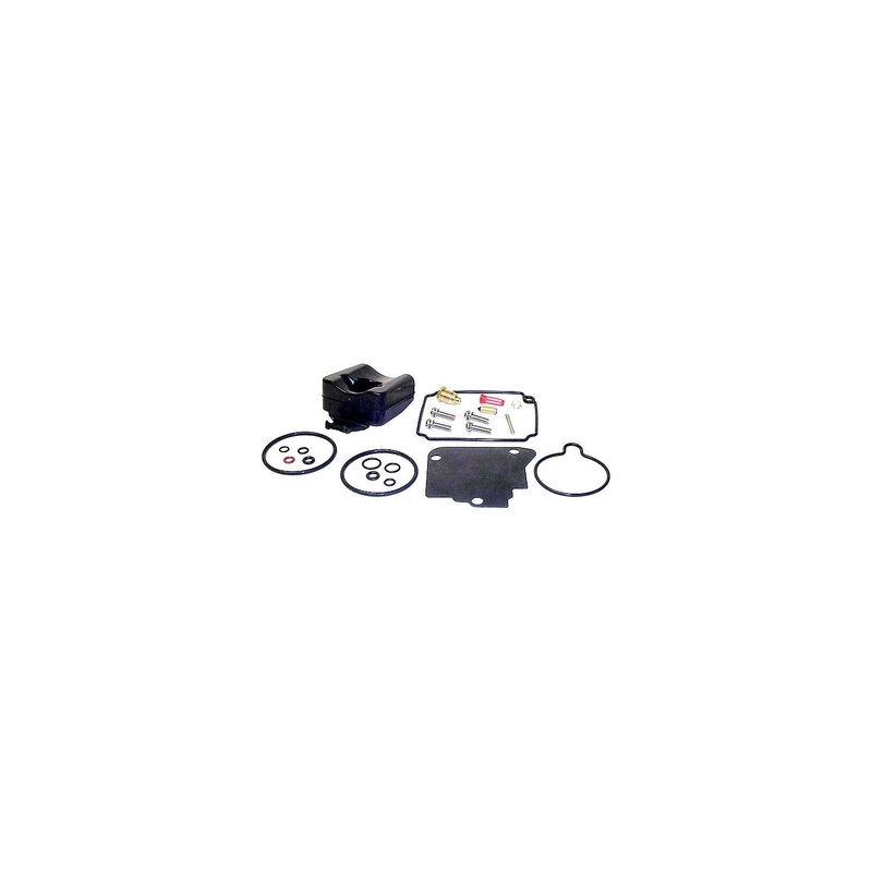 Carburetor Repair Kit