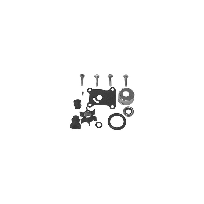 E/J WTR PUMPKIT 391698 55-235