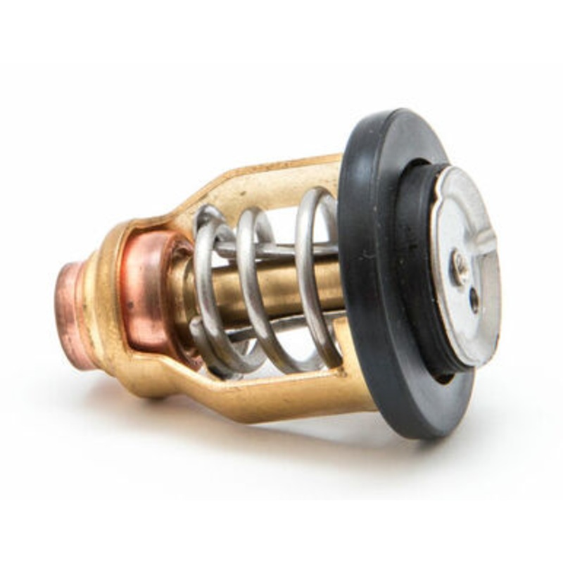TERMOSTAT YAM #69M-124110100