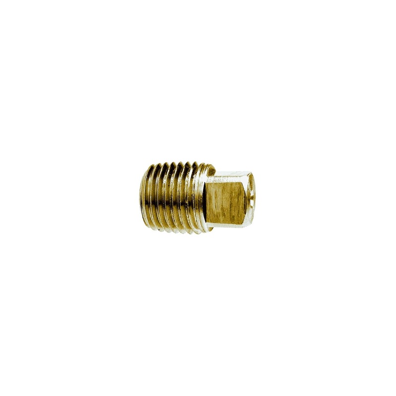 1/4 Brass Sq Head Pipe Plug