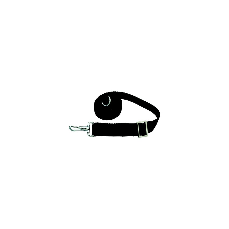Taylor 11993 Adjustable Tie-Down Strap 6′ Long With Stainless Steel Ring on One End and Snap on Other – Black, 2/pk
