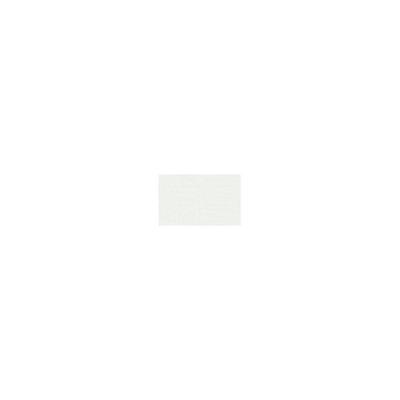 Carefree JG184A4AMP Replacement Awning Vinyl Fabric, 18′, Eggshell
