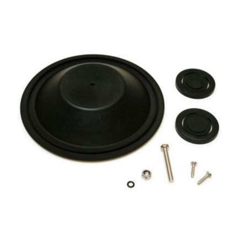 SERV KIT 29250 MAN. PUMP