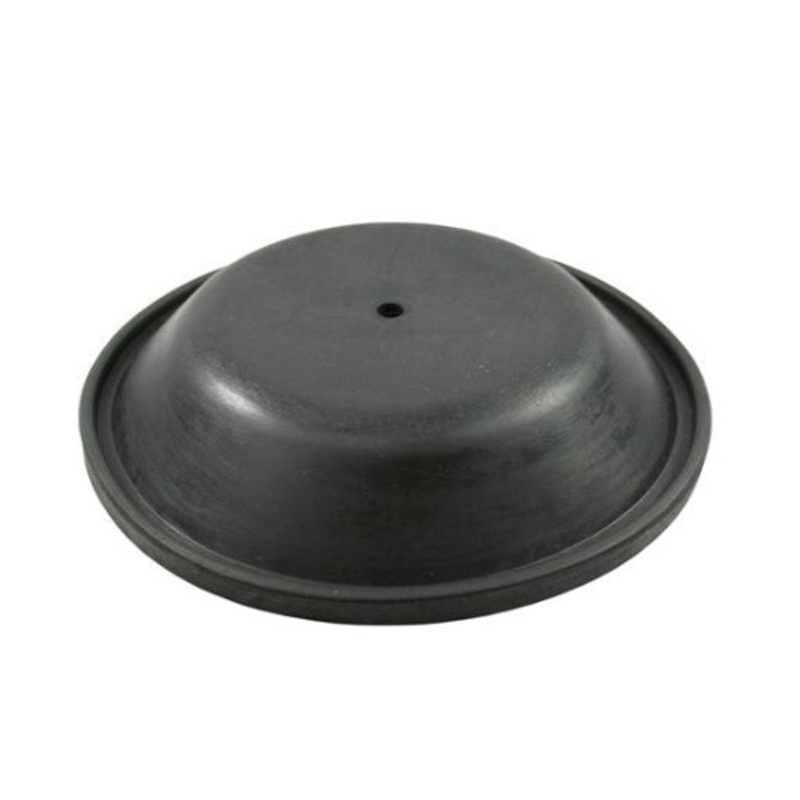 SP81  – REPLACEMENT DIAPHRAGM FOR RWB2202 PUMP