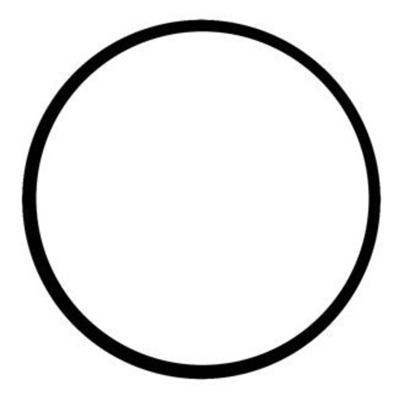 REPLACEMENT O-RING FOR RAW WATER STRAINER